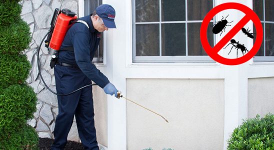 Tercan Karınca İlaçlama böcek ilaçlama ve haşere kontrolü — ilaclama-tr.com